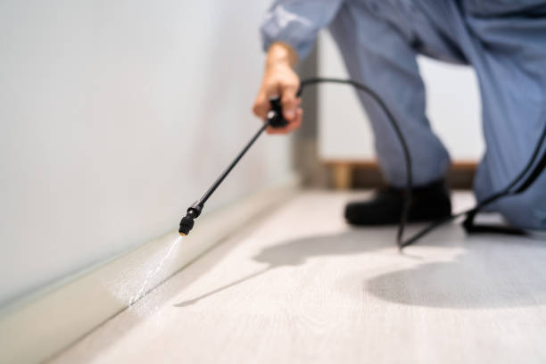 Rodent Entry Point Assessment in North College Hill