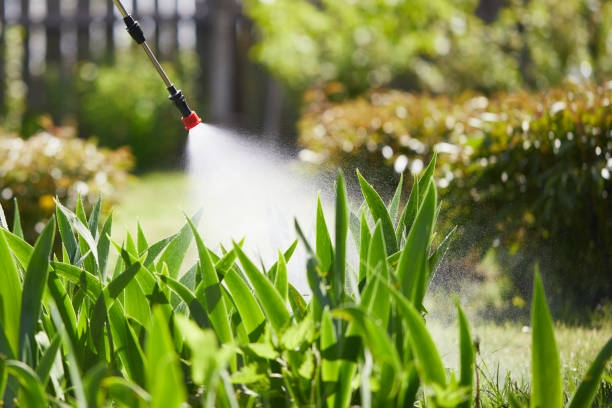 Tamper-Resistant Bait Stations for Rodents in North College Hill