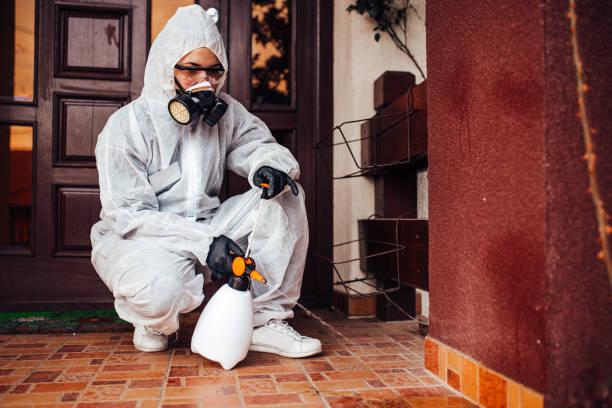 Attic and Crawl Space Rodent Treatment in North College Hill